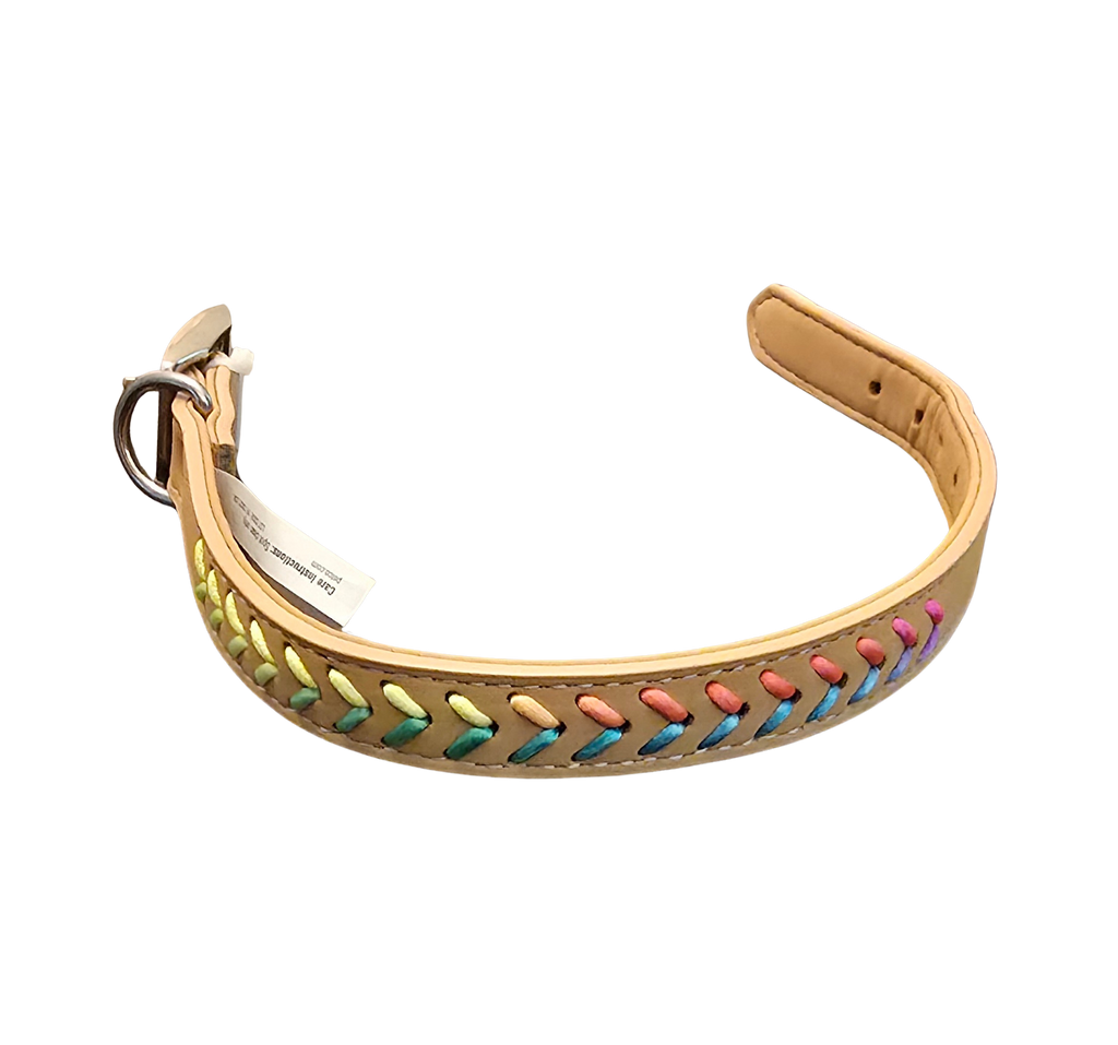 🌈 Tan & Neon Rainbow Braided Dog Collar